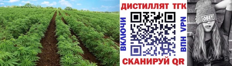 ТГК вейп с тгк  купить закладку  Стрежевой 
